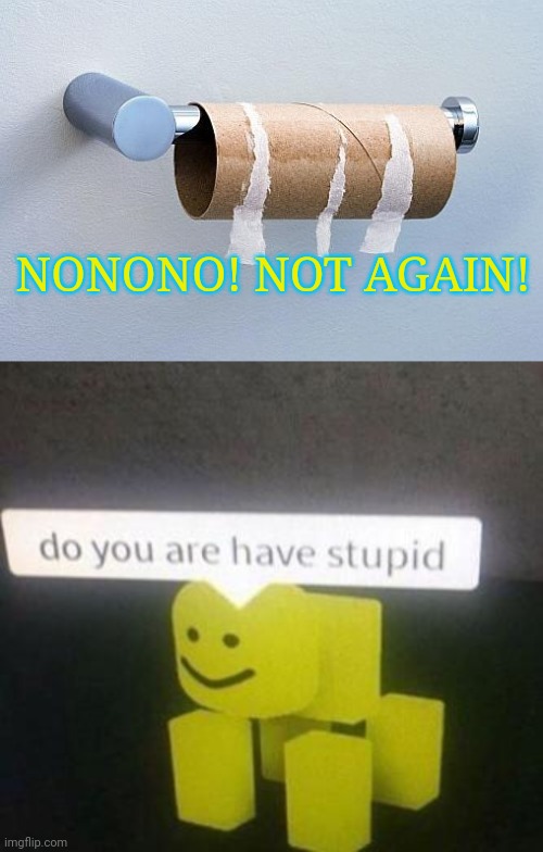 NONONO! NOT AGAIN! | image tagged in no more toilet paper,do you have stupid | made w/ Imgflip meme maker