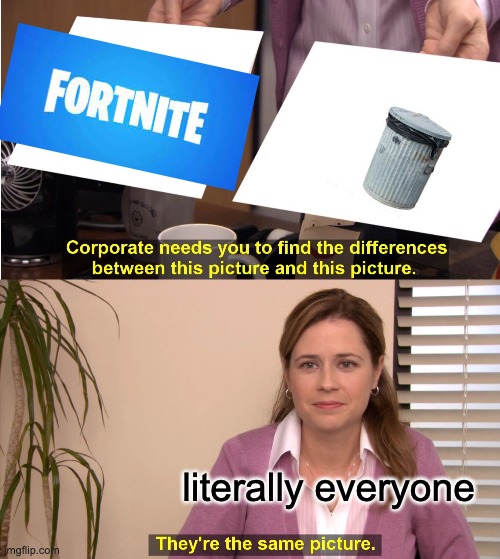 They're The Same Picture Meme | literally everyone | image tagged in memes,they're the same picture | made w/ Imgflip meme maker