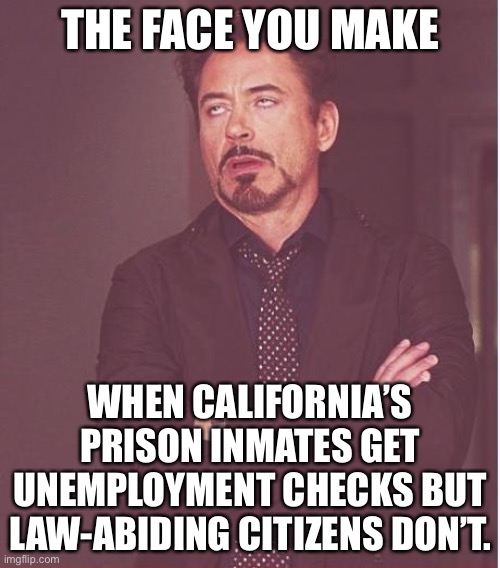 California’s residents are the prisoners | THE FACE YOU MAKE; WHEN CALIFORNIA’S PRISON INMATES GET UNEMPLOYMENT CHECKS BUT LAW-ABIDING CITIZENS DON’T. | image tagged in memes,face you make robert downey jr,prison,california,money,gavin newsom | made w/ Imgflip meme maker