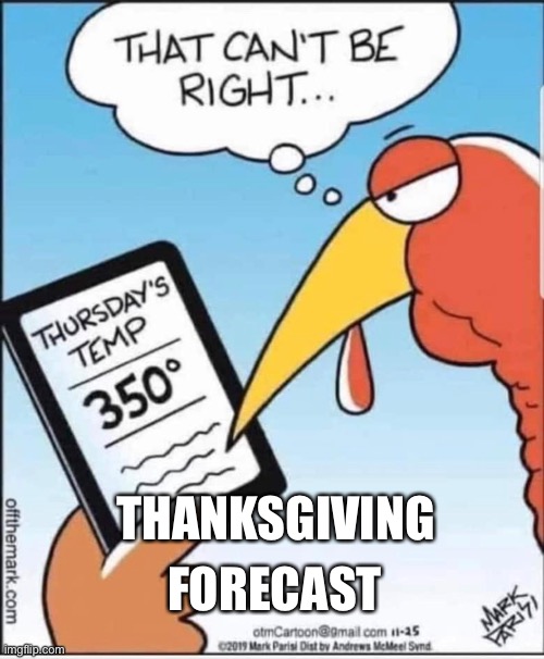 Thanksgiving forecast | FORECAST; THANKSGIVING | image tagged in turkey | made w/ Imgflip meme maker
