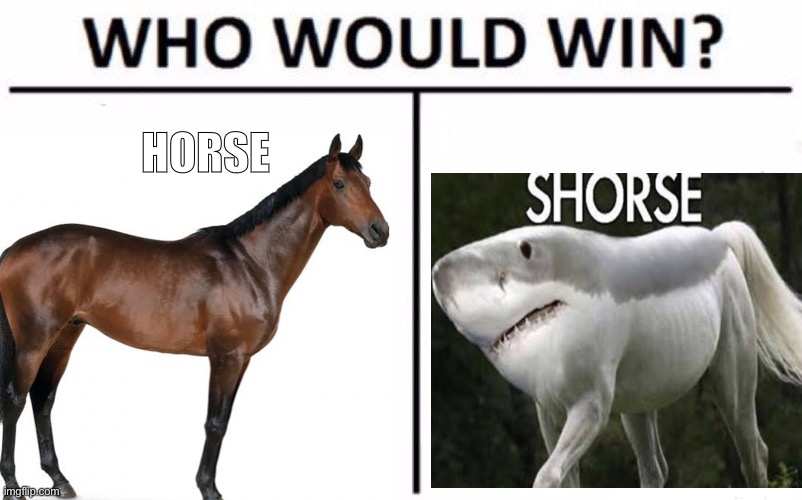 SHORSE | HORSE | image tagged in shark,horse | made w/ Imgflip meme maker
