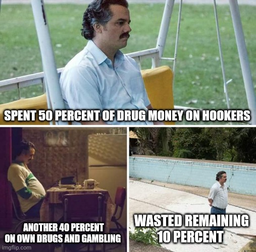 Sad Pablo Escobar Meme | SPENT 50 PERCENT OF DRUG MONEY ON HOOKERS; ANOTHER 40 PERCENT ON OWN DRUGS AND GAMBLING; WASTED REMAINING 10 PERCENT | image tagged in memes,sad pablo escobar | made w/ Imgflip meme maker