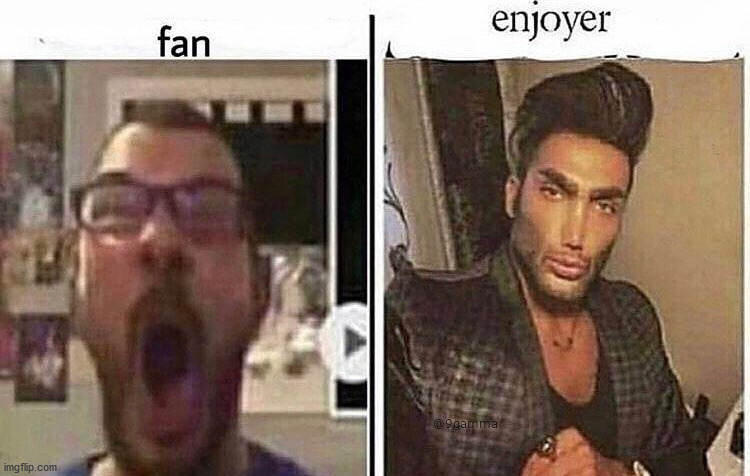 Fan vs Enjoyer | image tagged in fan vs enjoyer | made w/ Imgflip meme maker