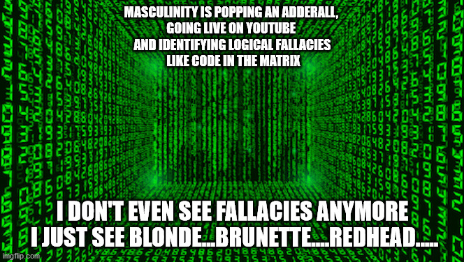 Masculinity Is | MASCULINITY IS POPPING AN ADDERALL, 
GOING LIVE ON YOUTUBE 
AND IDENTIFYING LOGICAL FALLACIES
 LIKE CODE IN THE MATRIX; I DON'T EVEN SEE FALLACIES ANYMORE
 I JUST SEE BLONDE...BRUNETTE....REDHEAD..... | image tagged in toxic masculinity,matrix | made w/ Imgflip meme maker
