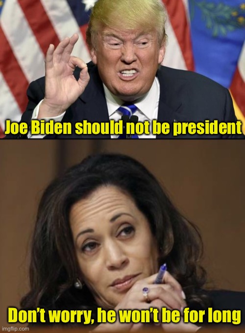 President Elect Harris | Joe Biden should not be president; Don’t worry, he won’t be for long | image tagged in trump the best,kamala harris | made w/ Imgflip meme maker