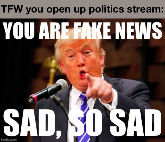 [based one, donald] | TFW you open up politics stream: | image tagged in donald trump you are fake news,fake news,you are fake news,donald trump,trump,donald trump pointing | made w/ Imgflip meme maker