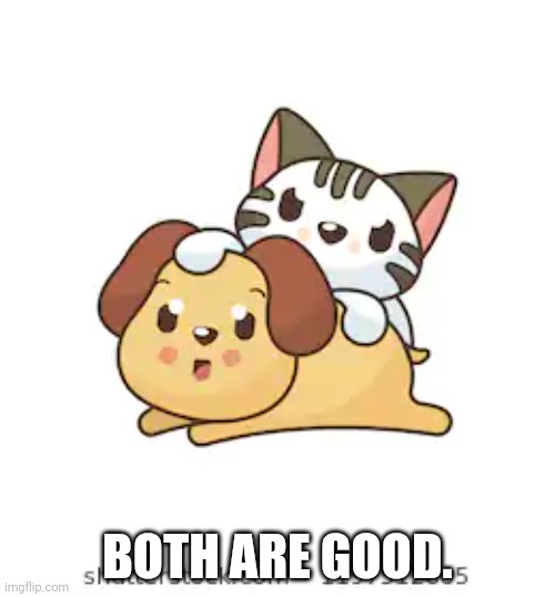 Cats vs dogs | BOTH ARE GOOD. | image tagged in cats vs dogs,cats,funny dogs,cute animals | made w/ Imgflip meme maker