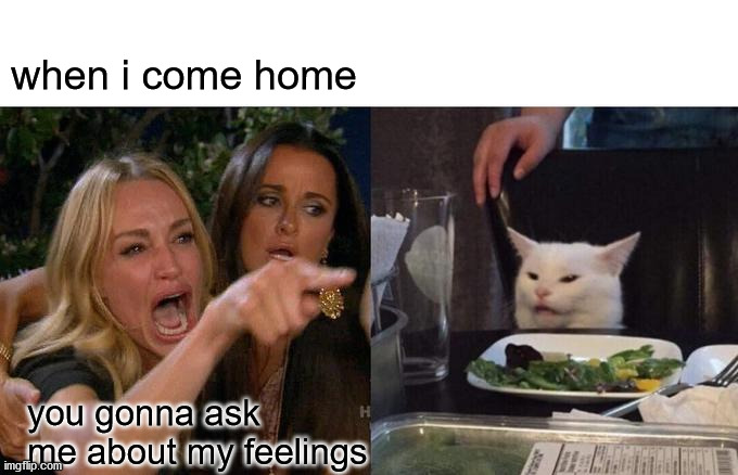 Woman Yelling At Cat Meme |  when i come home; you gonna ask me about my feelings | image tagged in memes,woman yelling at cat | made w/ Imgflip meme maker
