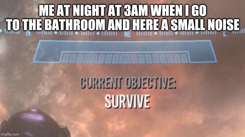 I feel like it always happens | ME AT NIGHT AT 3AM WHEN I GO TO THE BATHROOM AND HERE A SMALL NOISE | image tagged in current objective survive,halo,hallway | made w/ Imgflip meme maker