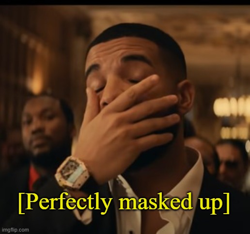 mask up | [Perfectly masked up] | image tagged in mask up | made w/ Imgflip meme maker