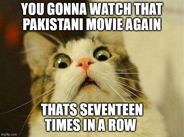 Scared Cat | YOU GONNA WATCH THAT PAKISTANI MOVIE AGAIN; THATS SEVENTEEN TIMES IN A ROW | image tagged in memes,scared cat | made w/ Imgflip meme maker