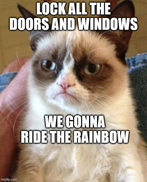 Grumpy Cat | LOCK ALL THE DOORS AND WINDOWS; WE GONNA RIDE THE RAINBOW | image tagged in memes,grumpy cat | made w/ Imgflip meme maker