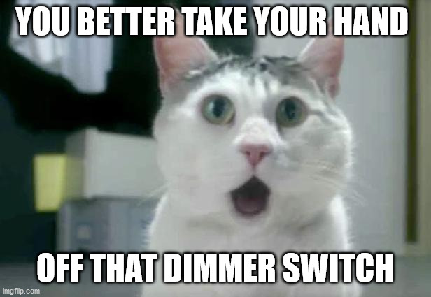 OMG Cat | YOU BETTER TAKE YOUR HAND; OFF THAT DIMMER SWITCH | image tagged in memes,omg cat | made w/ Imgflip meme maker