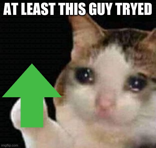 sad thumbs up cat | AT LEAST THIS GUY TRYED | image tagged in sad thumbs up cat | made w/ Imgflip meme maker