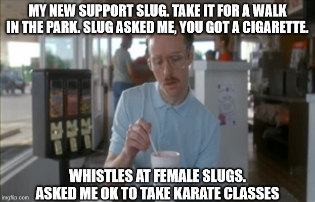 So I Guess You Can Say Things Are Getting Pretty Serious Meme | MY NEW SUPPORT SLUG. TAKE IT FOR A WALK IN THE PARK. SLUG ASKED ME, YOU GOT A CIGARETTE. WHISTLES AT FEMALE SLUGS. ASKED ME OK TO TAKE KARATE CLASSES | image tagged in memes,so i guess you can say things are getting pretty serious | made w/ Imgflip meme maker