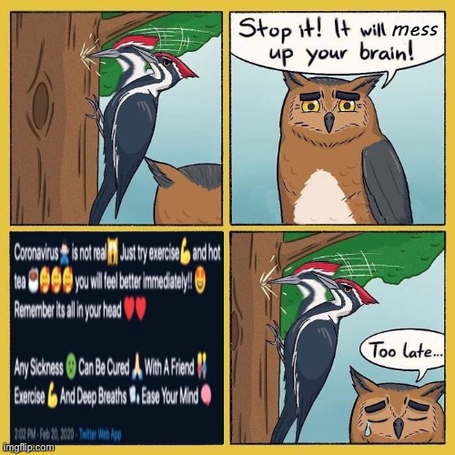 S H U T I T K A R E N | image tagged in bird pecking tree | made w/ Imgflip meme maker