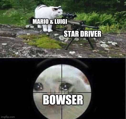 Using the Star Driver in Mario and Luigi Dream Team in a nutshell | MARIO & LUIGI; STAR DRIVER; BOWSER | image tagged in sniper cat | made w/ Imgflip meme maker