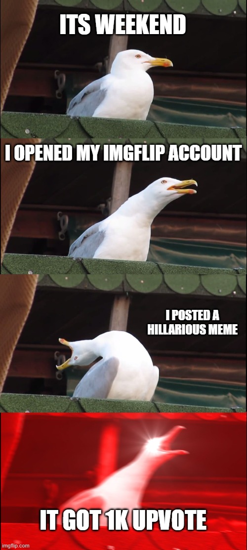hope this works to every1 lool | ITS WEEKEND; I OPENED MY IMGFLIP ACCOUNT; I POSTED A HILLARIOUS MEME; IT GOT 1K UPVOTE | image tagged in memes,inhaling seagull | made w/ Imgflip meme maker