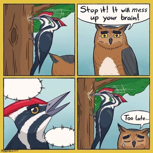 stop it stupid bird | image tagged in stupid bird | made w/ Imgflip meme maker