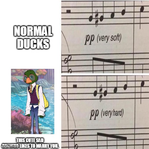 The Ugly Duckling maybe no duck. | NORMAL DUCKS; THIS CUTE SAD 
BOI WHO LIKES TO MARRY YOU. | image tagged in duck,music | made w/ Imgflip meme maker