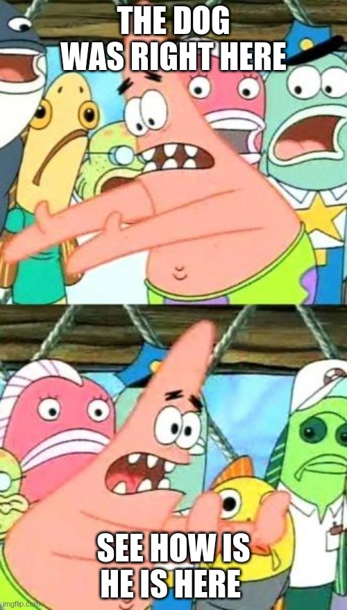 Put It Somewhere Else Patrick Meme | THE DOG WAS RIGHT HERE; SEE HOW IS HE IS HERE | image tagged in memes,put it somewhere else patrick | made w/ Imgflip meme maker