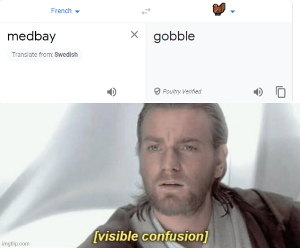 Wait what? | image tagged in visible confusion,google translate,weird | made w/ Imgflip meme maker