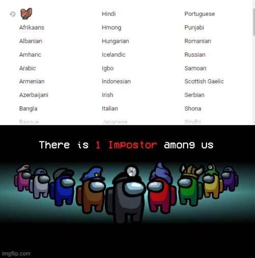 They added turkey language? | image tagged in there is one impostor among us,google translate | made w/ Imgflip meme maker