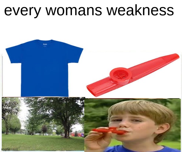 ummm no | every womans weakness | image tagged in memes,monkey puppet | made w/ Imgflip meme maker