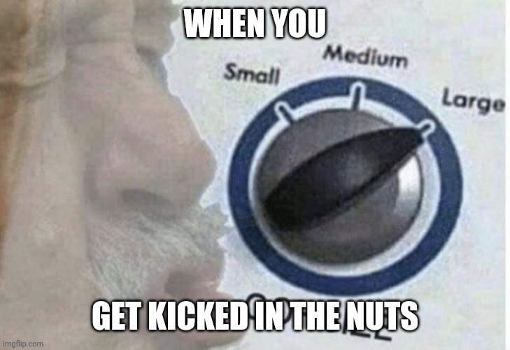 Oof size large | WHEN YOU; GET KICKED IN THE NUTS | image tagged in oof size large | made w/ Imgflip meme maker