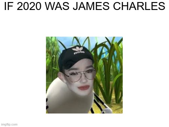 If 2020 was James Charles | IF 2020 WAS JAMES CHARLES | image tagged in blank white template | made w/ Imgflip meme maker