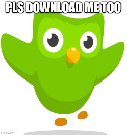 Duolingo Owl | PLS DOWNLOAD ME TOO | image tagged in duolingo owl | made w/ Imgflip meme maker