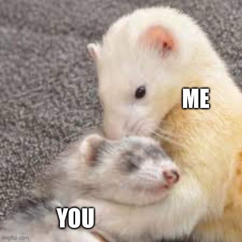 ME YOU | made w/ Imgflip meme maker
