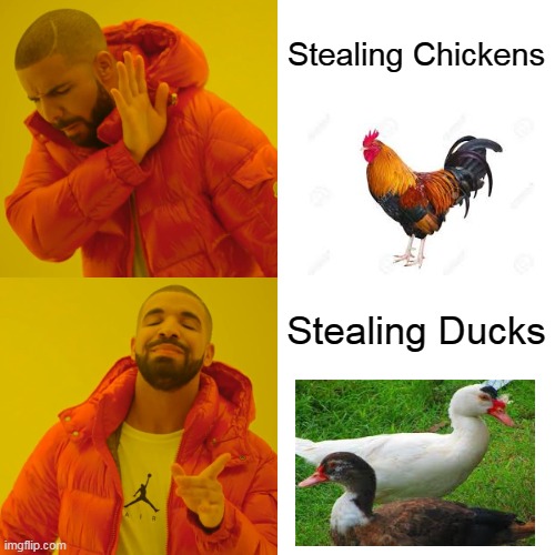 Drake Hotline Bling Meme | Stealing Chickens; Stealing Ducks | image tagged in memes,drake hotline bling | made w/ Imgflip meme maker