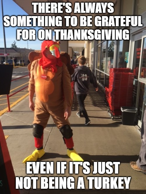 Guy in a Turkey suit | THERE'S ALWAYS SOMETHING TO BE GRATEFUL FOR ON THANKSGIVING; EVEN IF IT'S JUST NOT BEING A TURKEY | image tagged in thanksgiving,costumes,funny | made w/ Imgflip meme maker