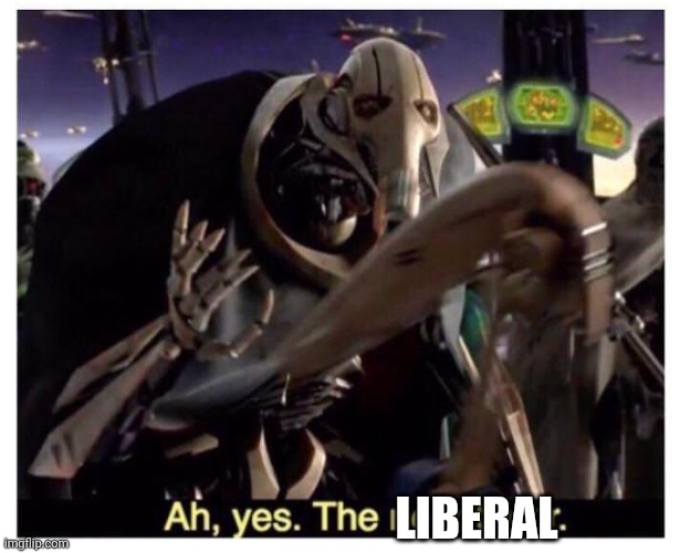 Ah yes the negotiator | LIBERAL | image tagged in ah yes the negotiator | made w/ Imgflip meme maker