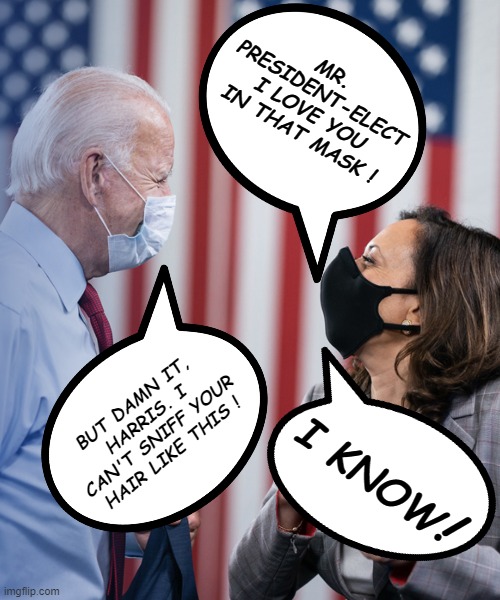Joe and Kamala while gazing into each others eyes.... | MR. PRESIDENT-ELECT I LOVE YOU IN THAT MASK ! BUT DAMN IT, HARRIS. I CAN'T SNIFF YOUR HAIR LIKE THIS ! I KNOW; ! | image tagged in joe and kamala,creepy joe biden,biden,sniff,what can i say except aaaaaaaaaaa,not my president | made w/ Imgflip meme maker