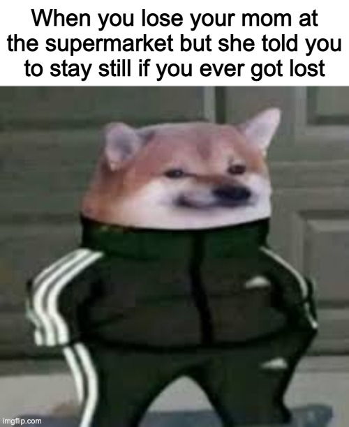 When you lose your mom at the supermarket but she told you to stay still if you ever got lost | made w/ Imgflip meme maker
