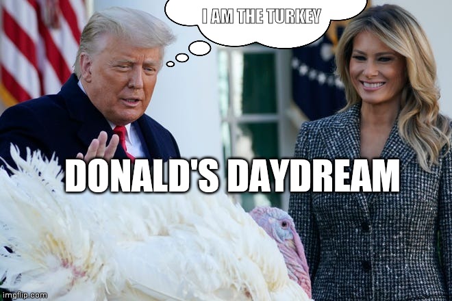 Jealous Donald | I AM THE TURKEY; DONALD'S DAYDREAM | image tagged in jealous donald,2020 turkey pardon,daydream,pardon me,memes | made w/ Imgflip meme maker