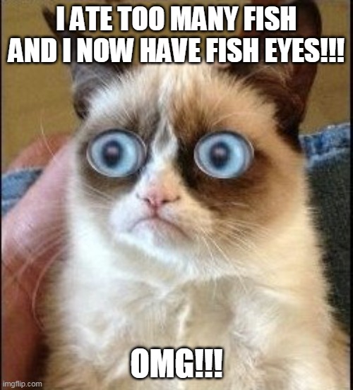 Big fish eyes | I ATE TOO MANY FISH AND I NOW HAVE FISH EYES!!! OMG!!! | image tagged in grumpy cat shocked,fish,eyes,memes | made w/ Imgflip meme maker