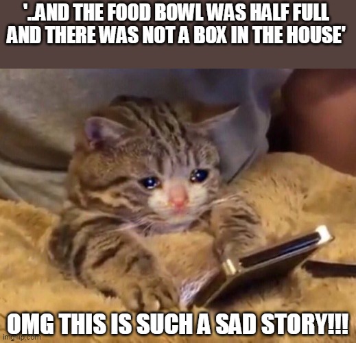Sad story | '..AND THE FOOD BOWL WAS HALF FULL AND THERE WAS NOT A BOX IN THE HOUSE'; OMG THIS IS SUCH A SAD STORY!!! | image tagged in sad cat phone,sad,cat,memes | made w/ Imgflip meme maker