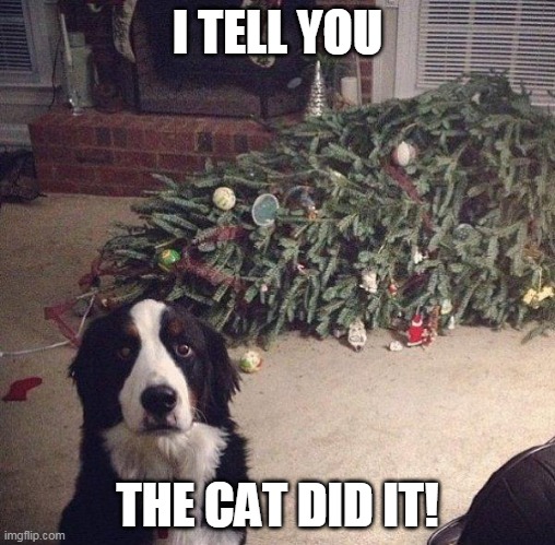 Blame game | I TELL YOU; THE CAT DID IT! | image tagged in christmas tree,memes,blame | made w/ Imgflip meme maker
