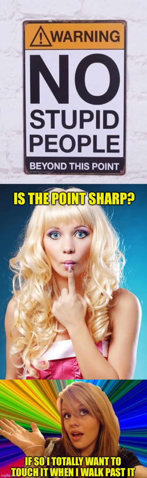 You’re not allowed past it!!! | IS THE POINT SHARP? IF SO I TOTALLY WANT TO TOUCH IT WHEN I WALK PAST IT | image tagged in dumb blonde,memes,stupid people,stupid signs,44colt,jokes | made w/ Imgflip meme maker