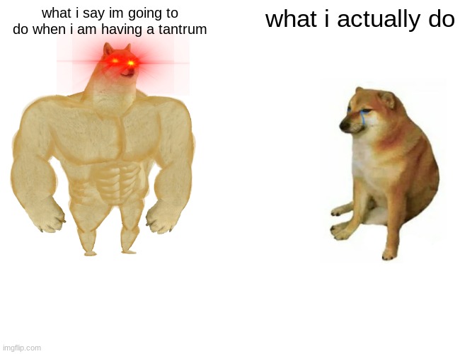 dogo memes | what i say im going to do when i am having a tantrum; what i actually do | image tagged in memes,buff doge vs cheems | made w/ Imgflip meme maker
