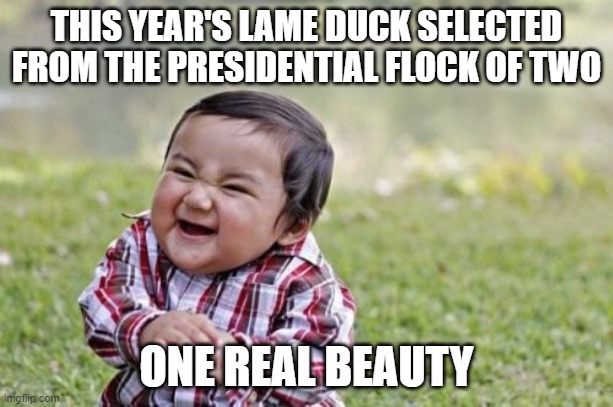pardon the lameduck | THIS YEAR'S LAME DUCK SELECTED FROM THE PRESIDENTIAL FLOCK OF TWO; ONE REAL BEAUTY | image tagged in memes,evil toddler | made w/ Imgflip meme maker