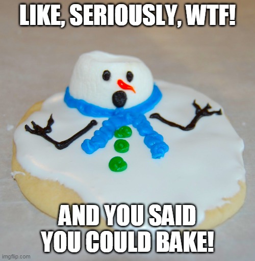 I will bake | LIKE, SERIOUSLY, WTF! AND YOU SAID YOU COULD BAKE! | image tagged in heat index,memes,baking,christmas | made w/ Imgflip meme maker