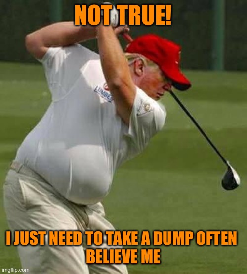 trump golf gut | NOT TRUE! I JUST NEED TO TAKE A DUMP OFTEN 
BELIEVE ME | image tagged in trump golf gut | made w/ Imgflip meme maker