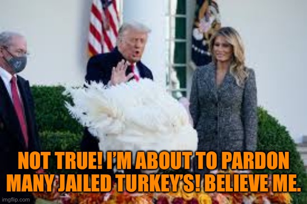 NOT TRUE! I’M ABOUT TO PARDON MANY JAILED TURKEY’S! BELIEVE ME. | made w/ Imgflip meme maker