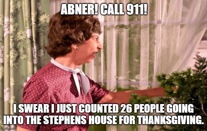 Call 911! | ABNER! CALL 911! I SWEAR I JUST COUNTED 26 PEOPLE GOING INTO THE STEPHENS HOUSE FOR THANKSGIVING. | image tagged in bewitched,thanksgiving,covid-19,virginia | made w/ Imgflip meme maker