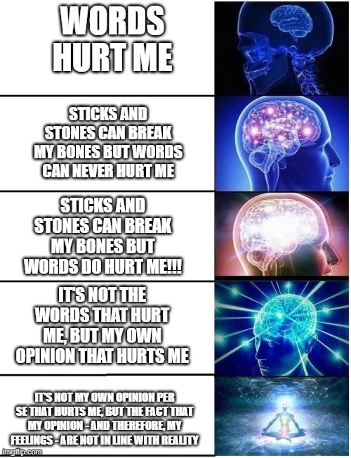 Expanding Brain 5 Panel | WORDS HURT ME; STICKS AND STONES CAN BREAK MY BONES BUT WORDS CAN NEVER HURT ME; STICKS AND STONES CAN BREAK MY BONES BUT WORDS DO HURT ME!!! IT'S NOT THE WORDS THAT HURT ME, BUT MY OWN OPINION THAT HURTS ME; IT'S NOT MY OWN OPINION PER SE THAT HURTS ME, BUT THE FACT THAT MY OPINION - AND THEREFORE, MY FEELINGS - ARE NOT IN LINE WITH REALITY | image tagged in expanding brain 5 panel | made w/ Imgflip meme maker