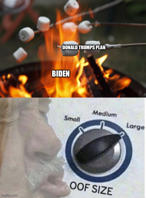 DONALD TRUMPS PLAN; BIDEN | image tagged in donald trump,us election 2020,funny,funny memes,memes | made w/ Imgflip meme maker